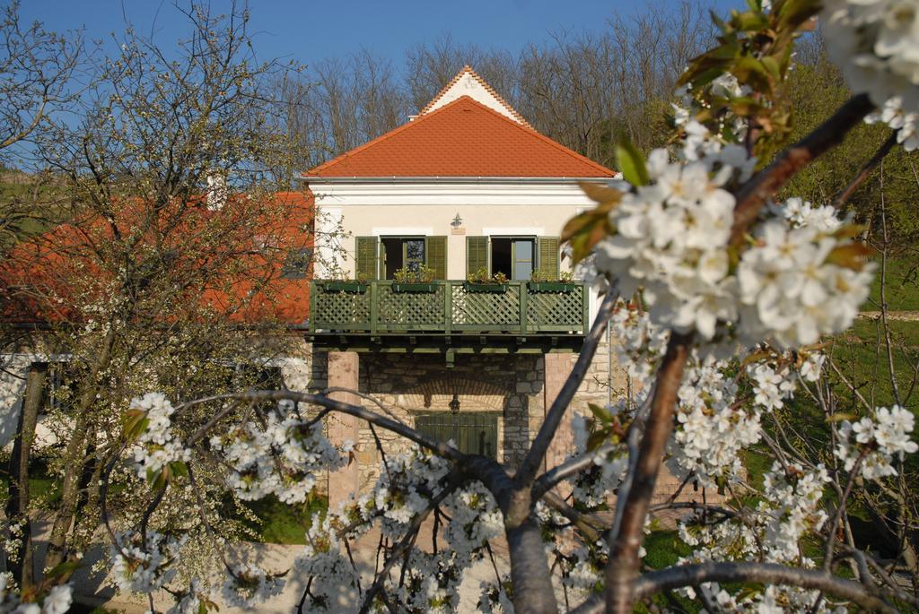 Penzion Sarga Haz Kaptalantoti Exteriér fotografie